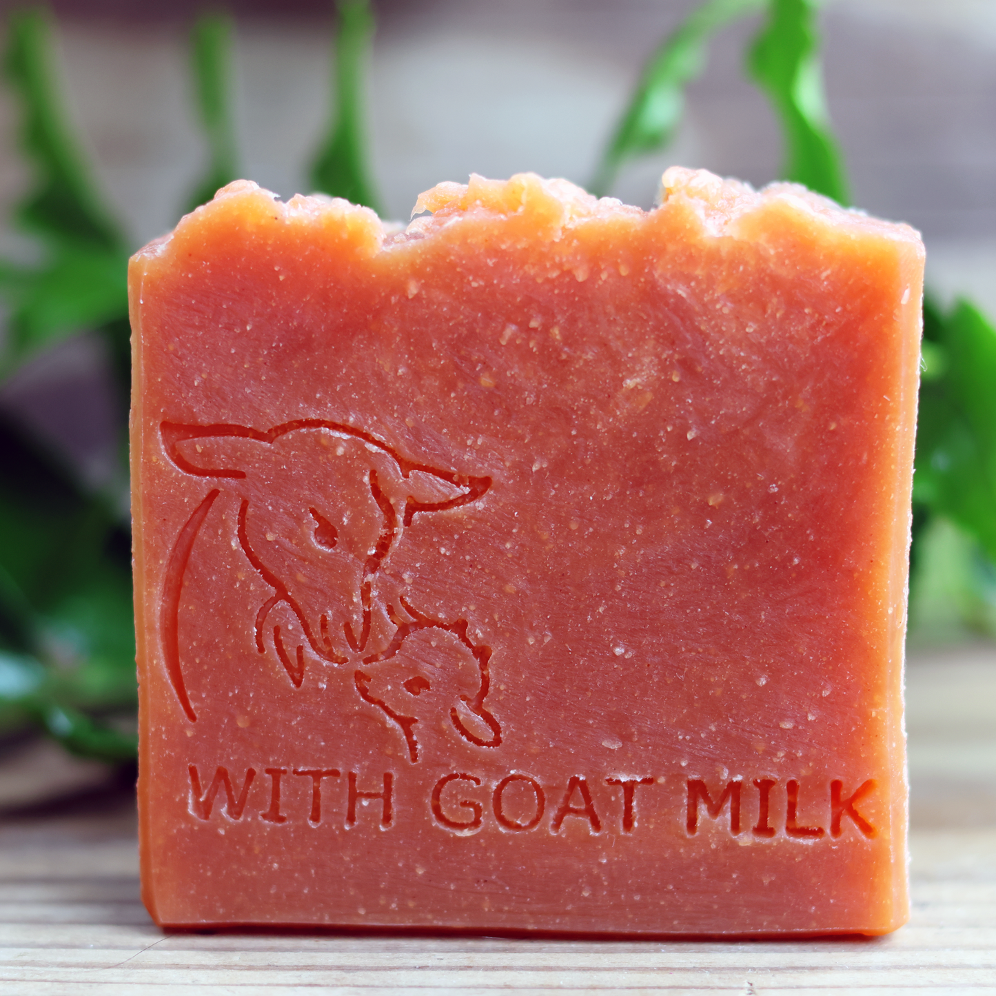 Handmade Goat’s Milk Soap
